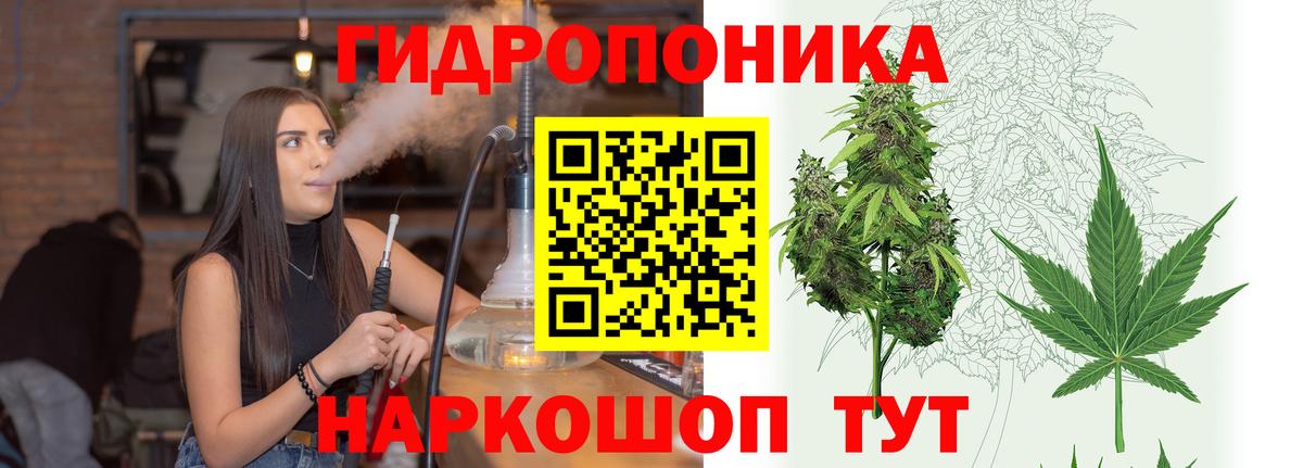 Конопля план  Каннабис White Widow  Шишки марихуана SATIVA & INDICA  Вход с VPN  Каспийск 